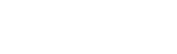 Visit Madison Logo