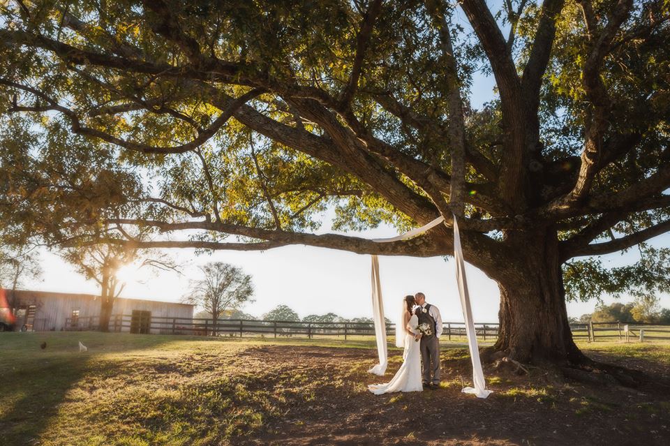Bride and Groom Under Tree at the Farmhouse Inn