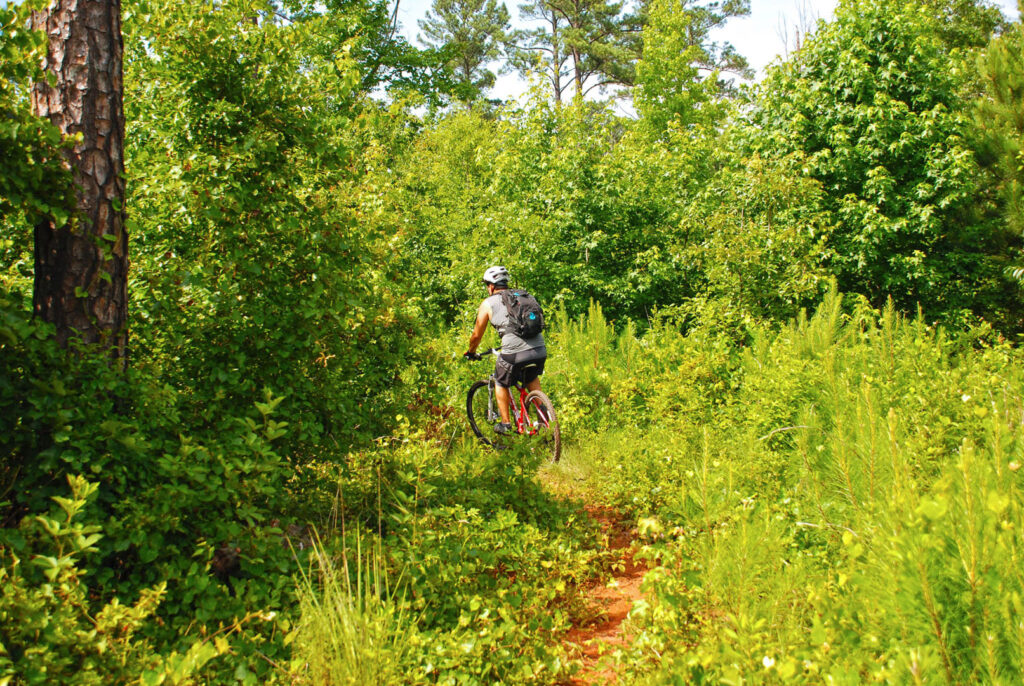Hard Labor Creek State Park